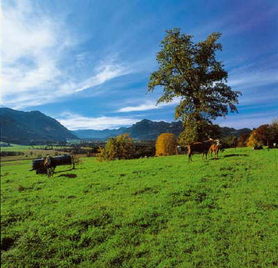 Herbststimmung, Achental